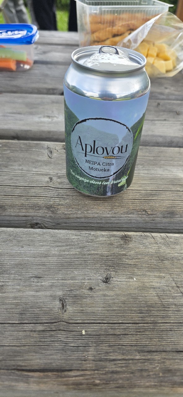 Aplv #1 NEIPA Citra Motueka, Aplovou