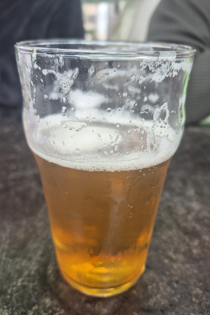 Vedett Extra Ordinary IPA, Duvel Moortgat