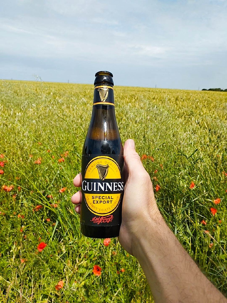 Guinness Special Export, Guinness (Diageo)