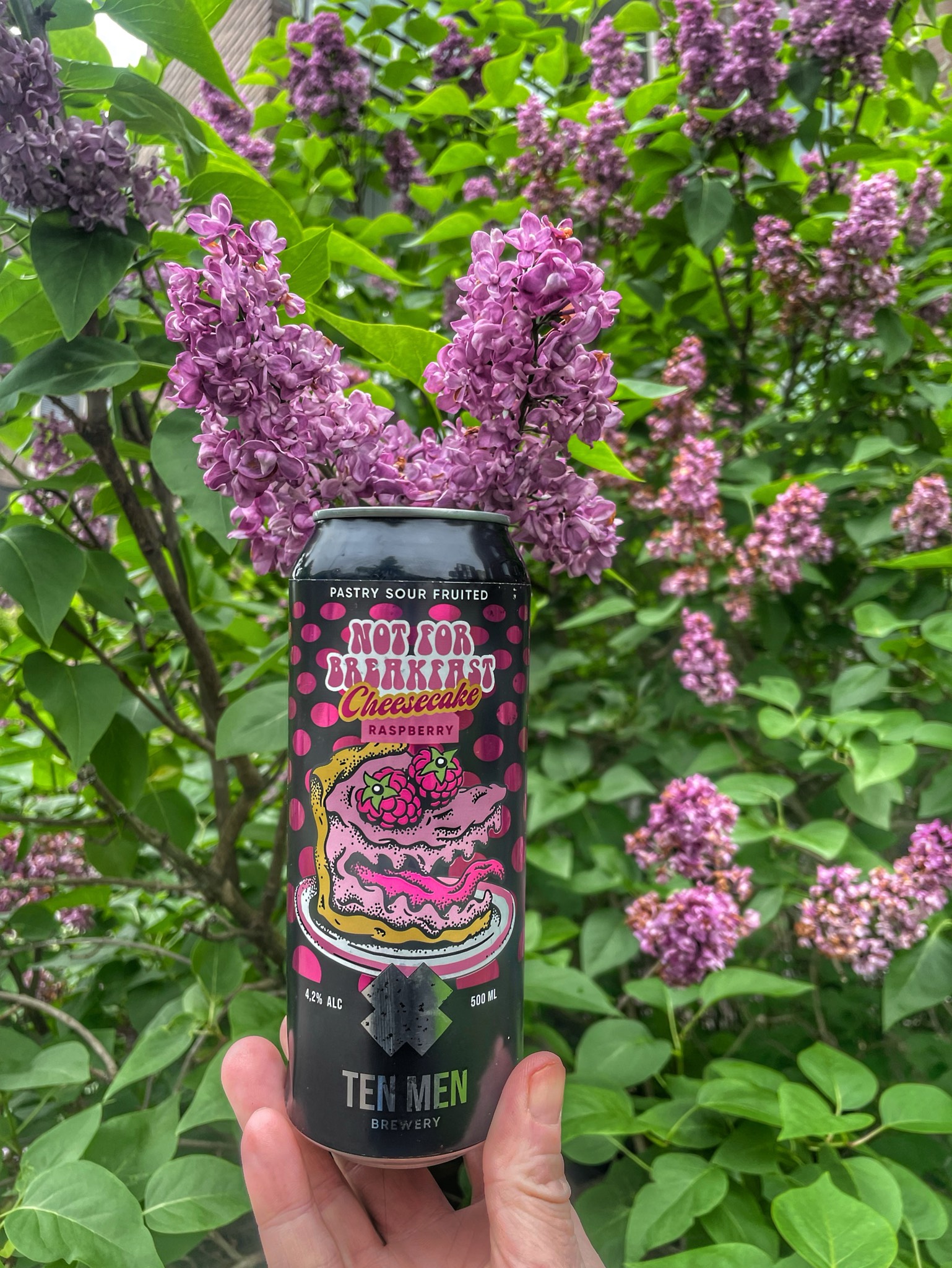 Not For Breakfast: Raspberry Cheesecake, Ten Men Brewery
