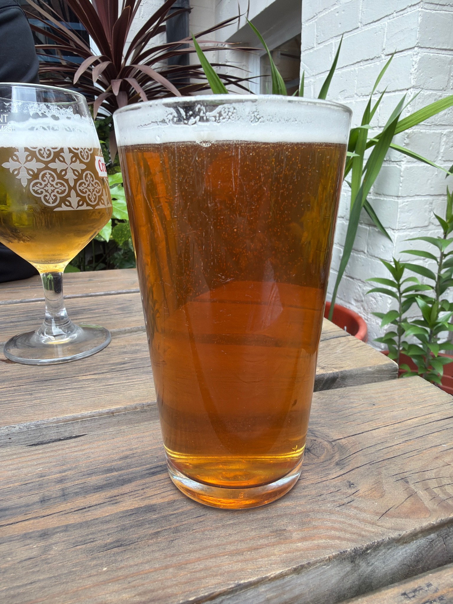 Californian IPA, Blue Monkey Brewery