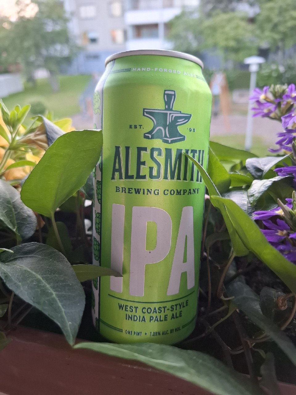 AleSmith IPA, Alesmith Brewing Company