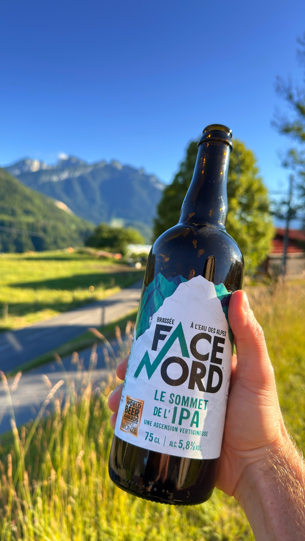 Face Nord Le Sommet De L'IPA, Brasserie Du Dauphiné (Mandrin)