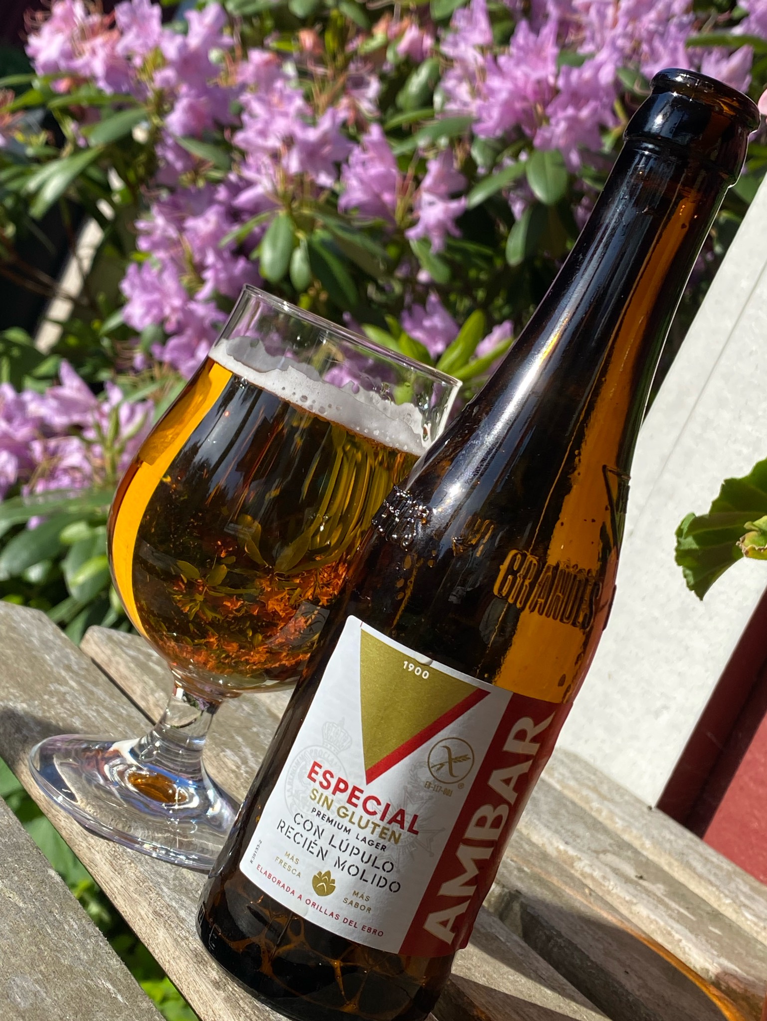 Ambar Especial, Spain