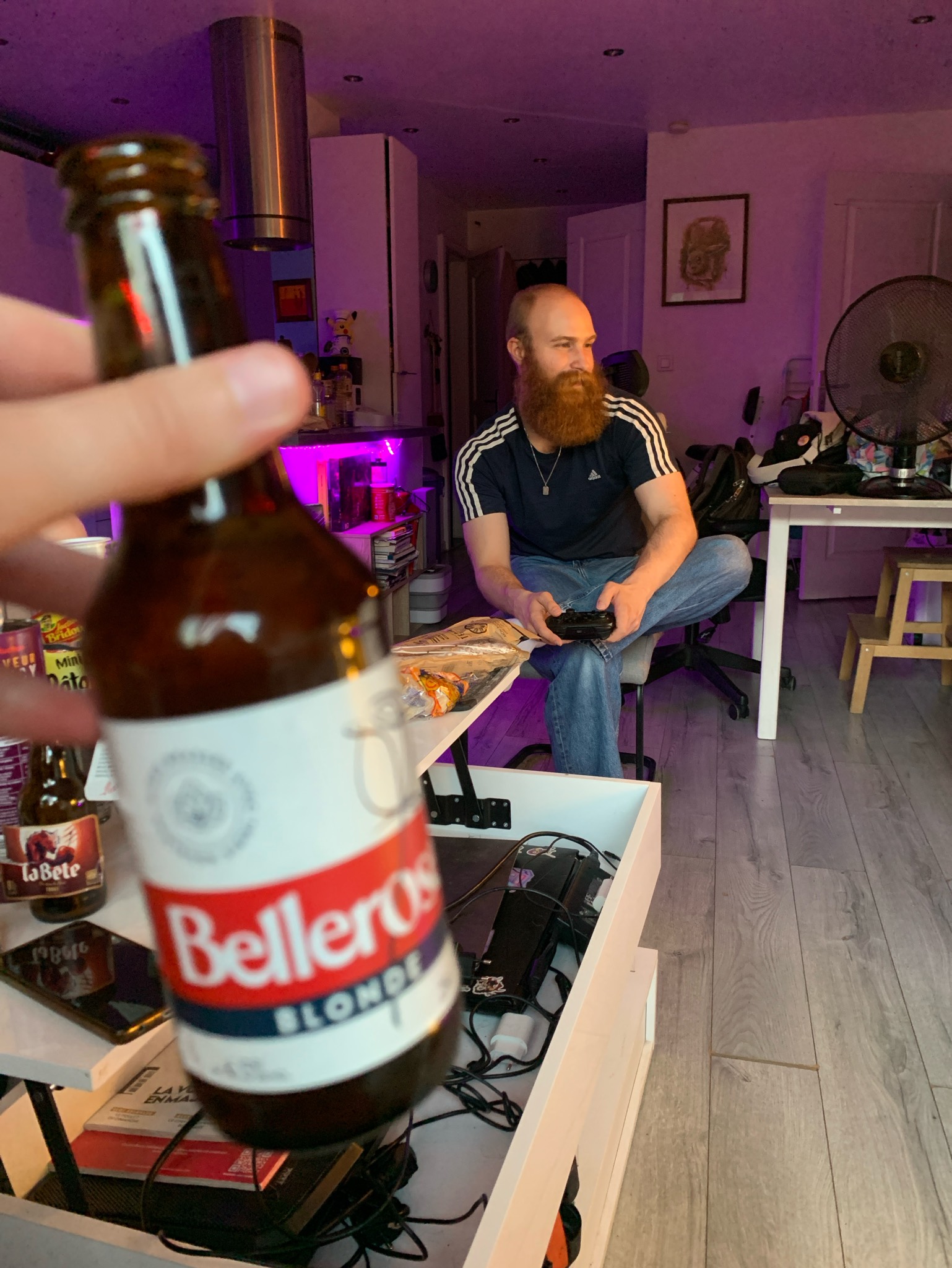Bellerose, Brasserie Des Sources