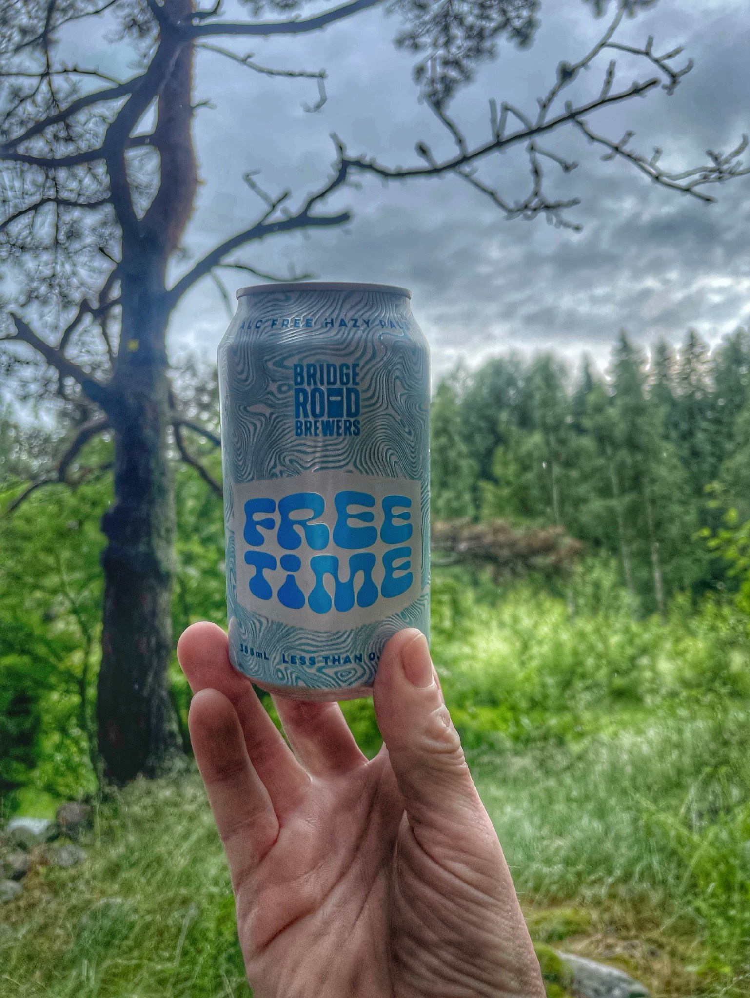 Free Time, Bridge Road Brewers