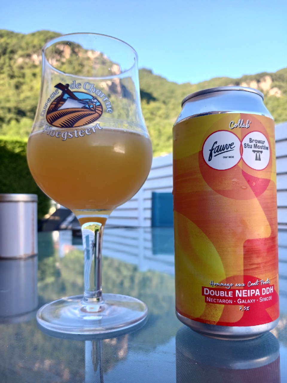 hommage aux cent ponts, France
