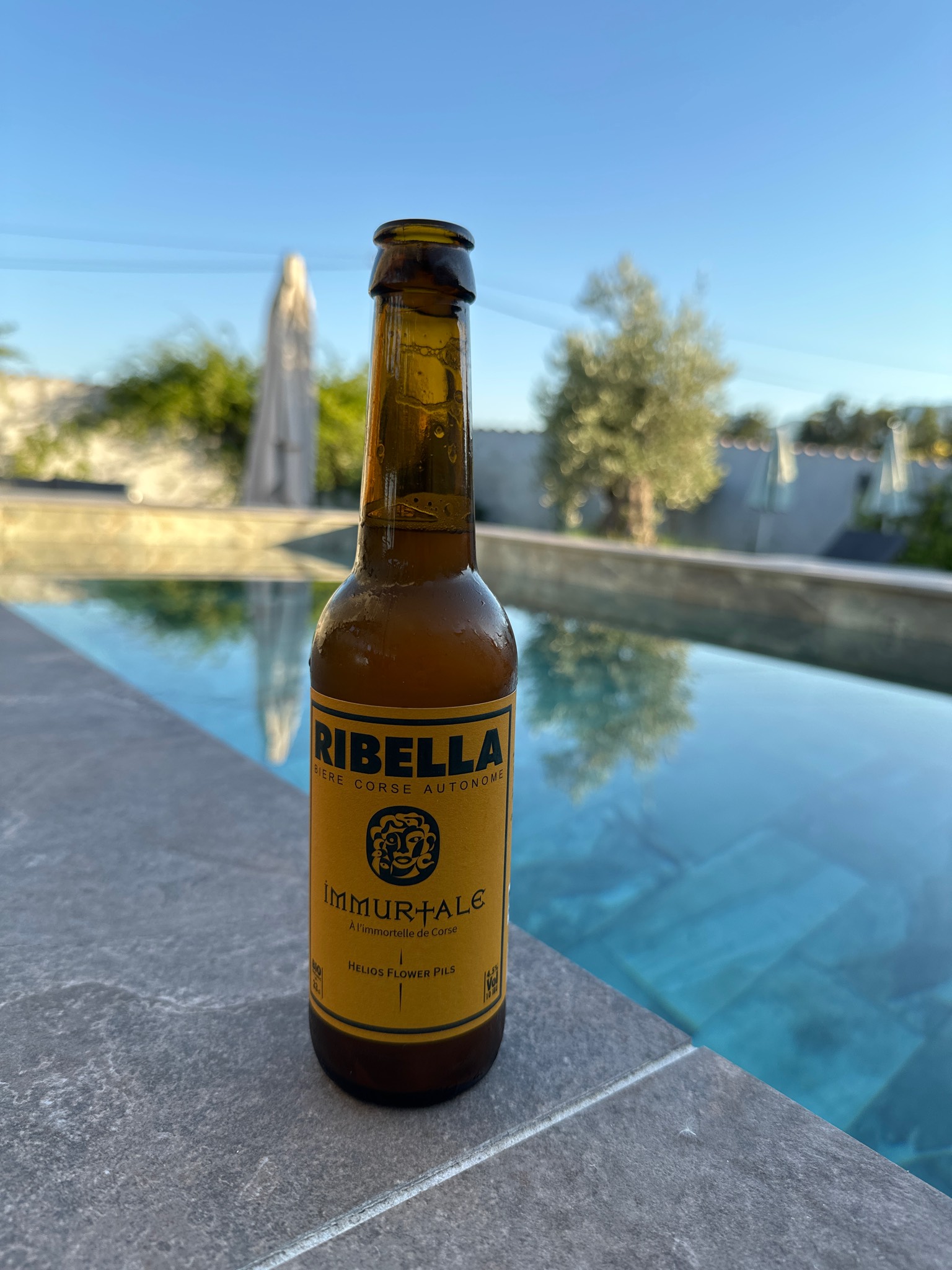 Immurtale, Ribella