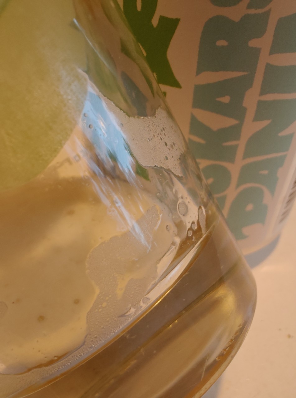 Villi & Vapaa Alkoholiton Dry Hopped Sour Ale, Finland
