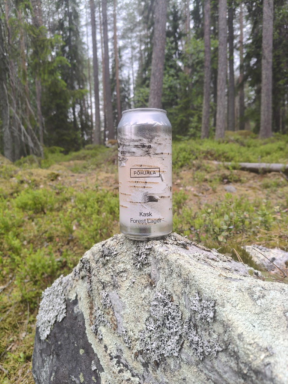 Kask Forest Lager, Estonia