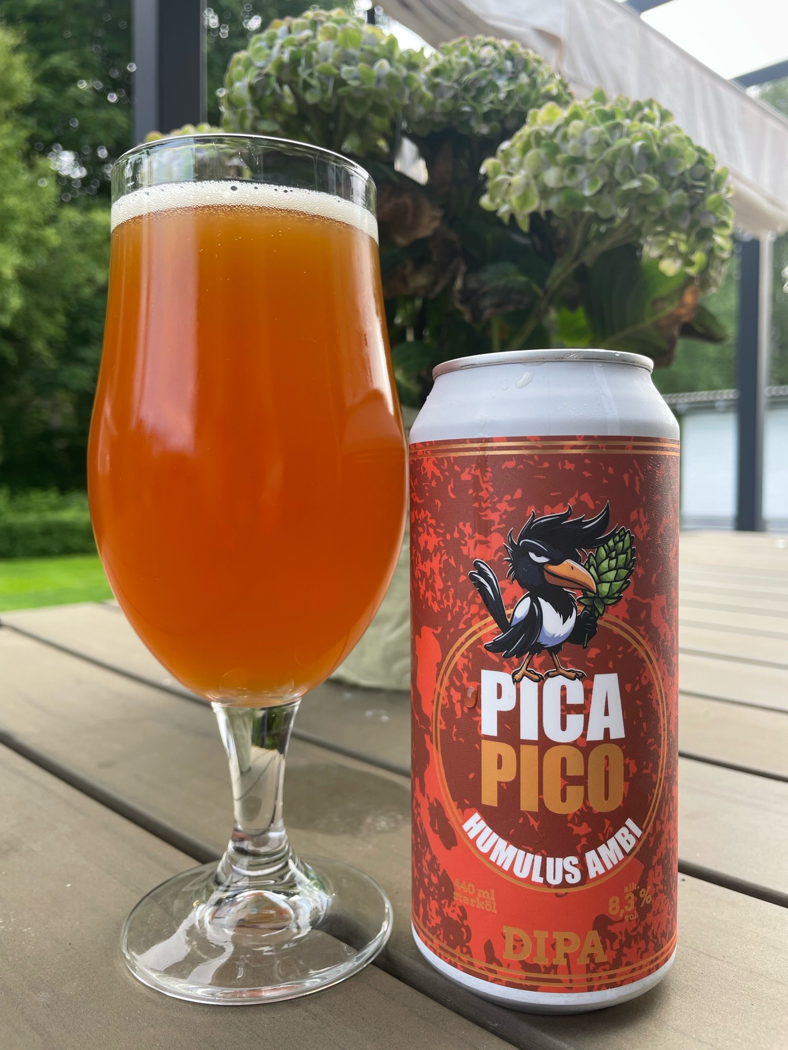 pica pico dipa, Topparnas bryggeri Ab