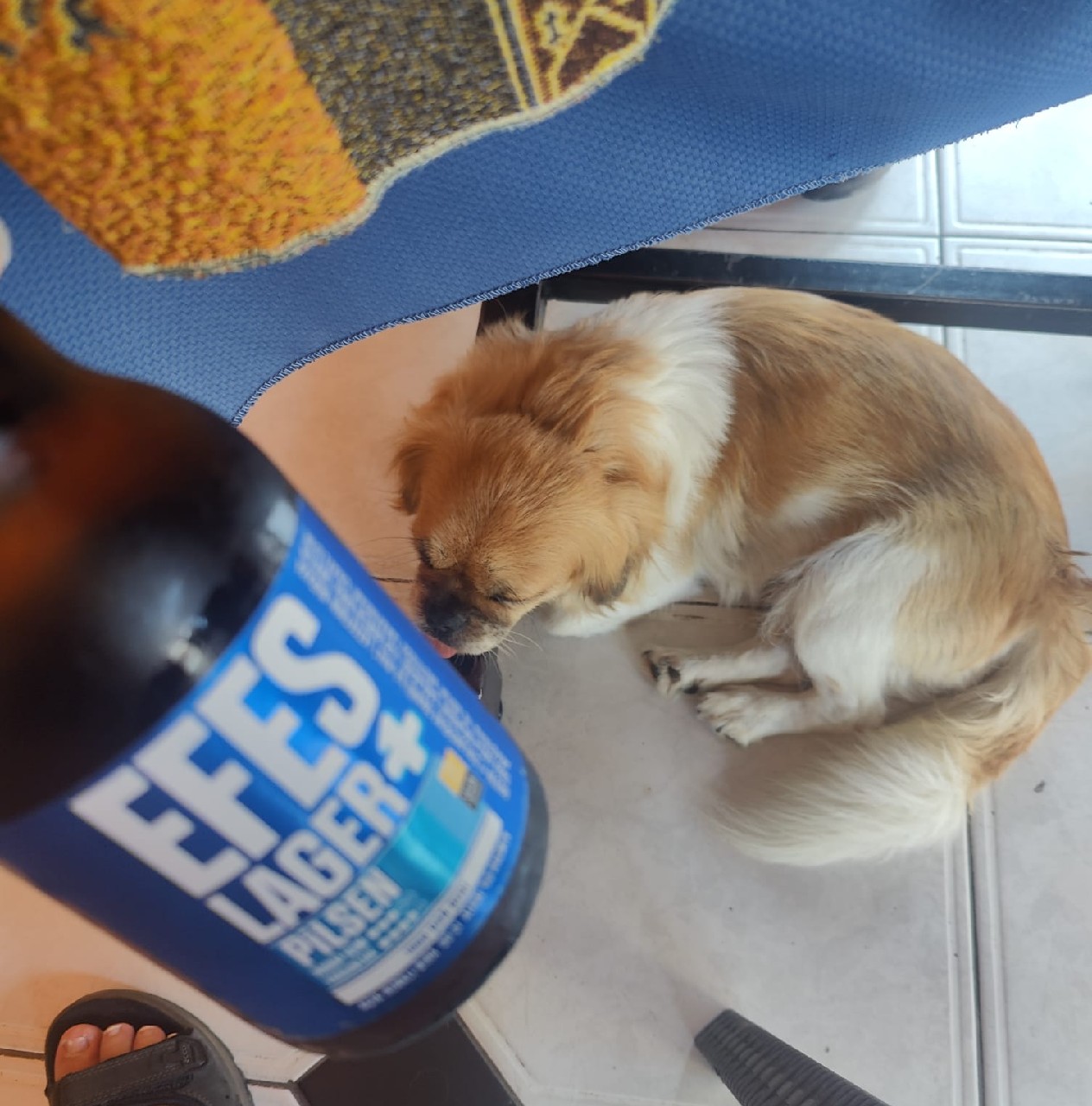 Efes Pilsener / Pilsen, Turkey