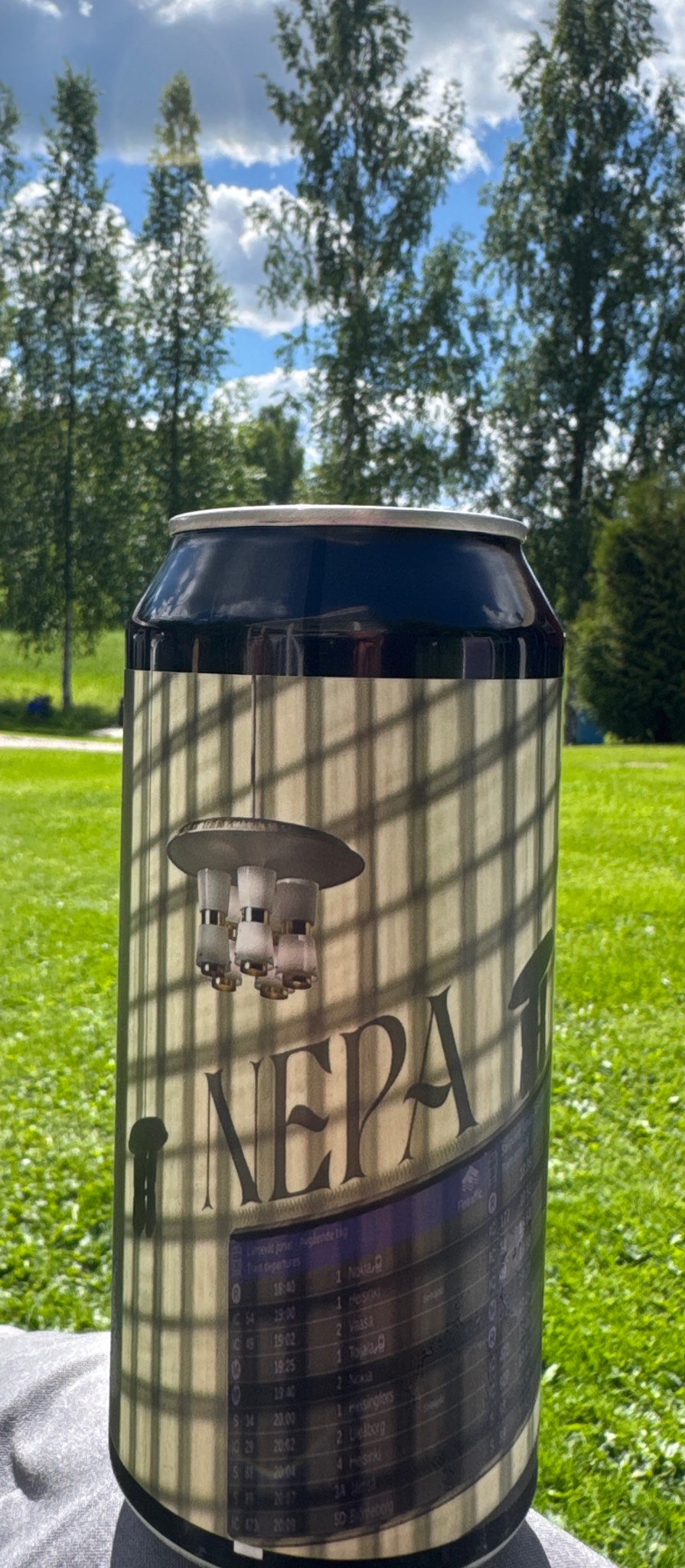 Matkustus, Finland