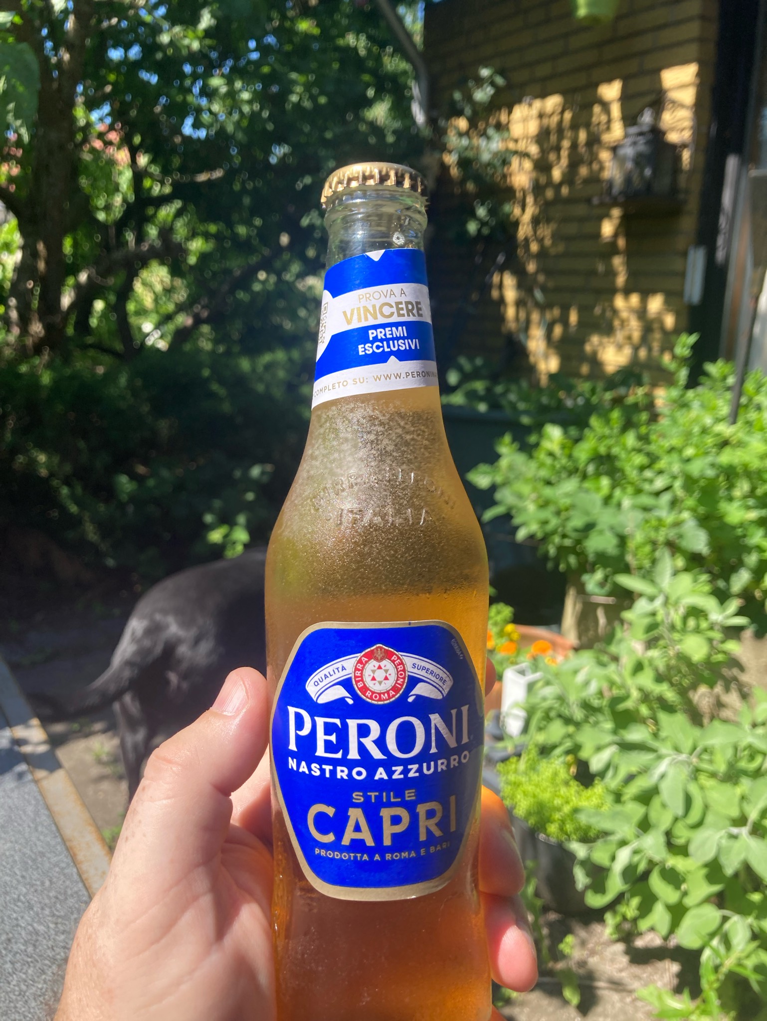 Peroni Stile Capri, Italy