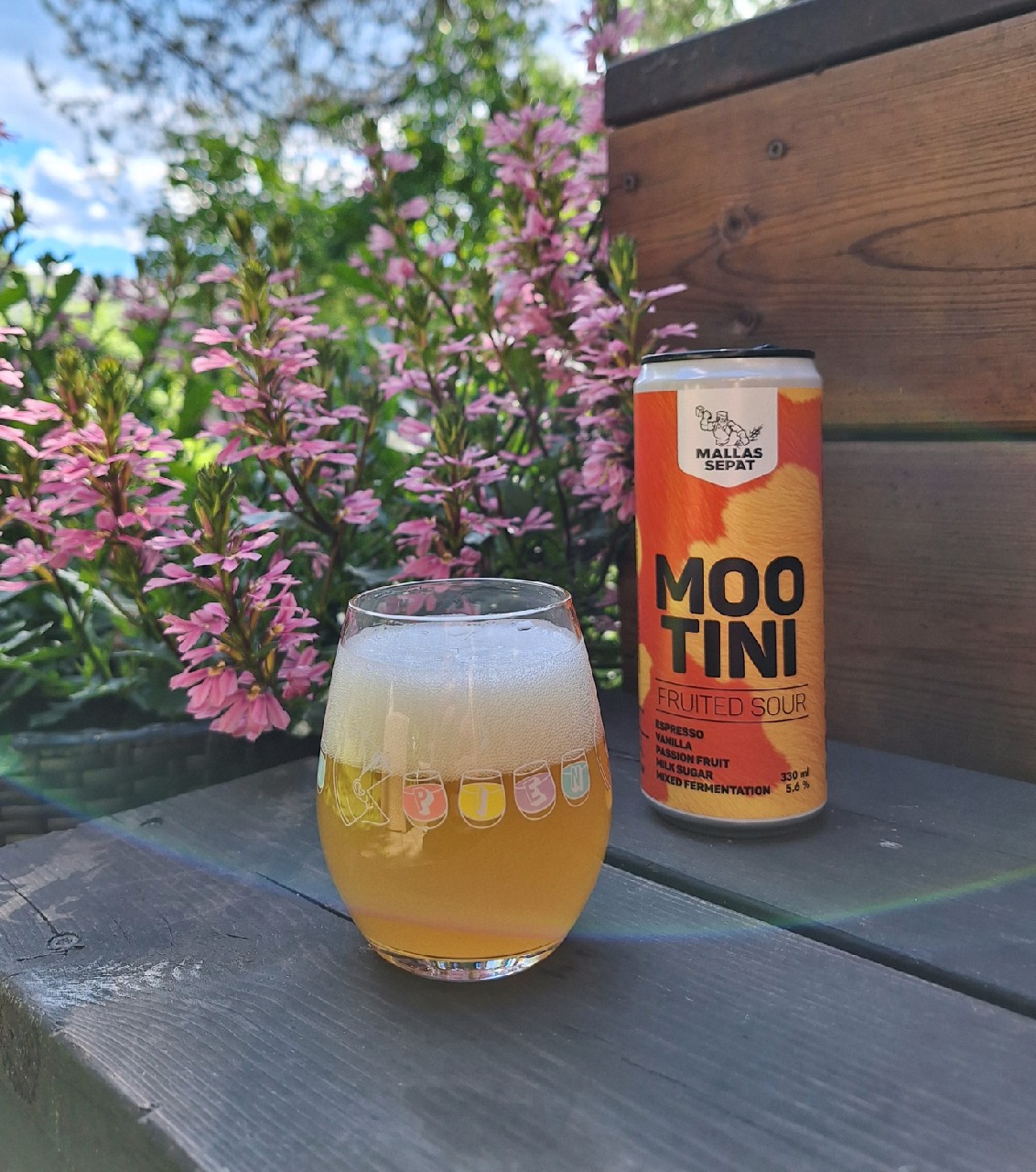 Mootini, Finland