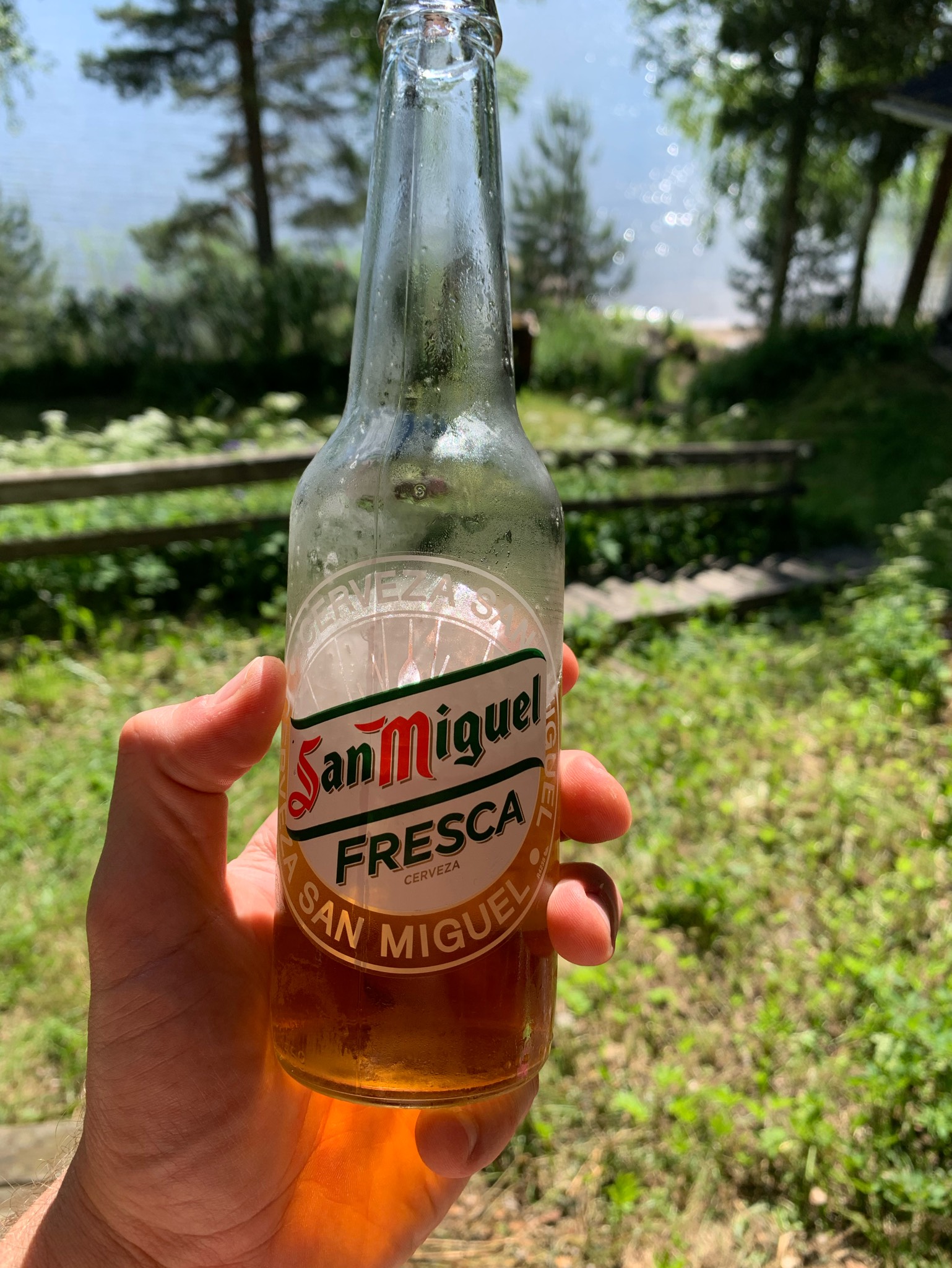 San Miguel Fresca, Spain