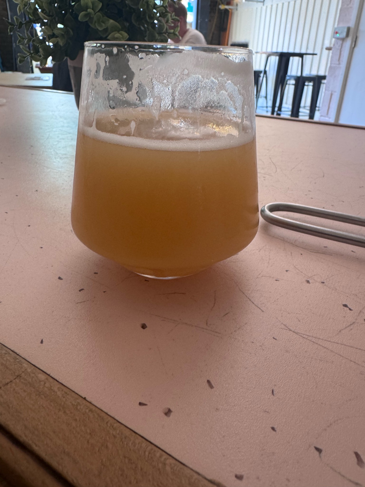 HOOKED ON AOTEAROA, Cloudwater Brew Co.