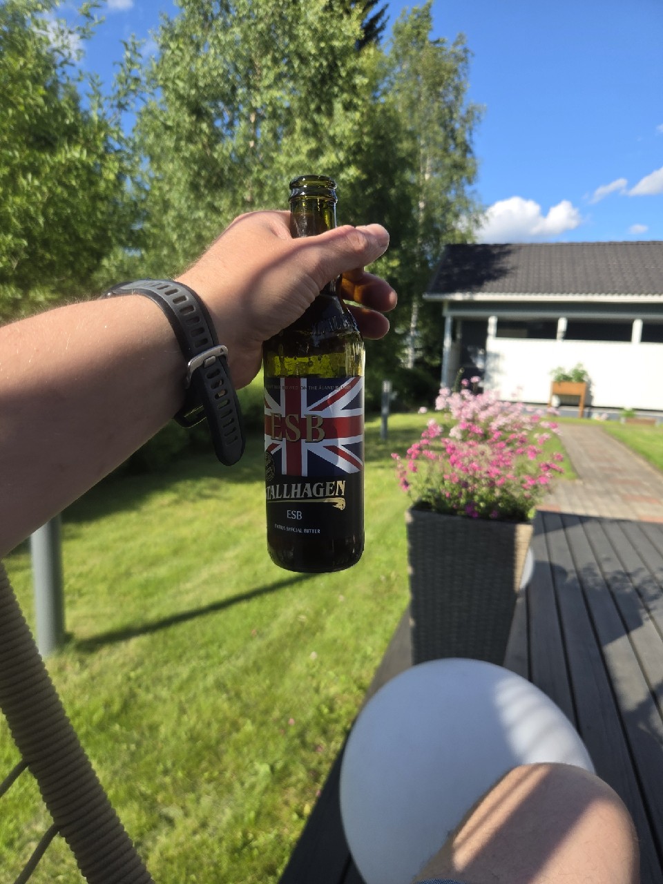 ESB, Finland