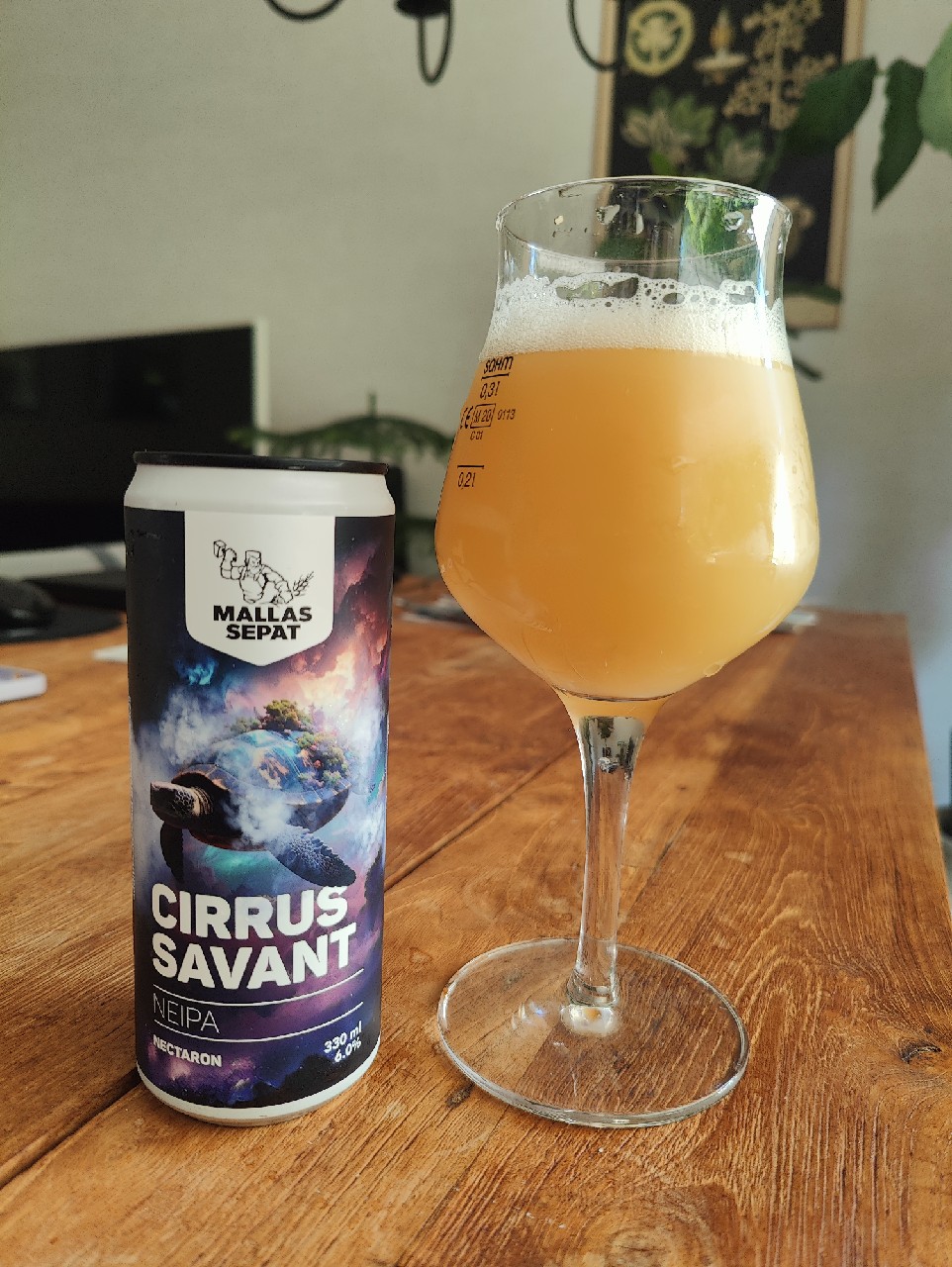 Cirrus Savant, Finland