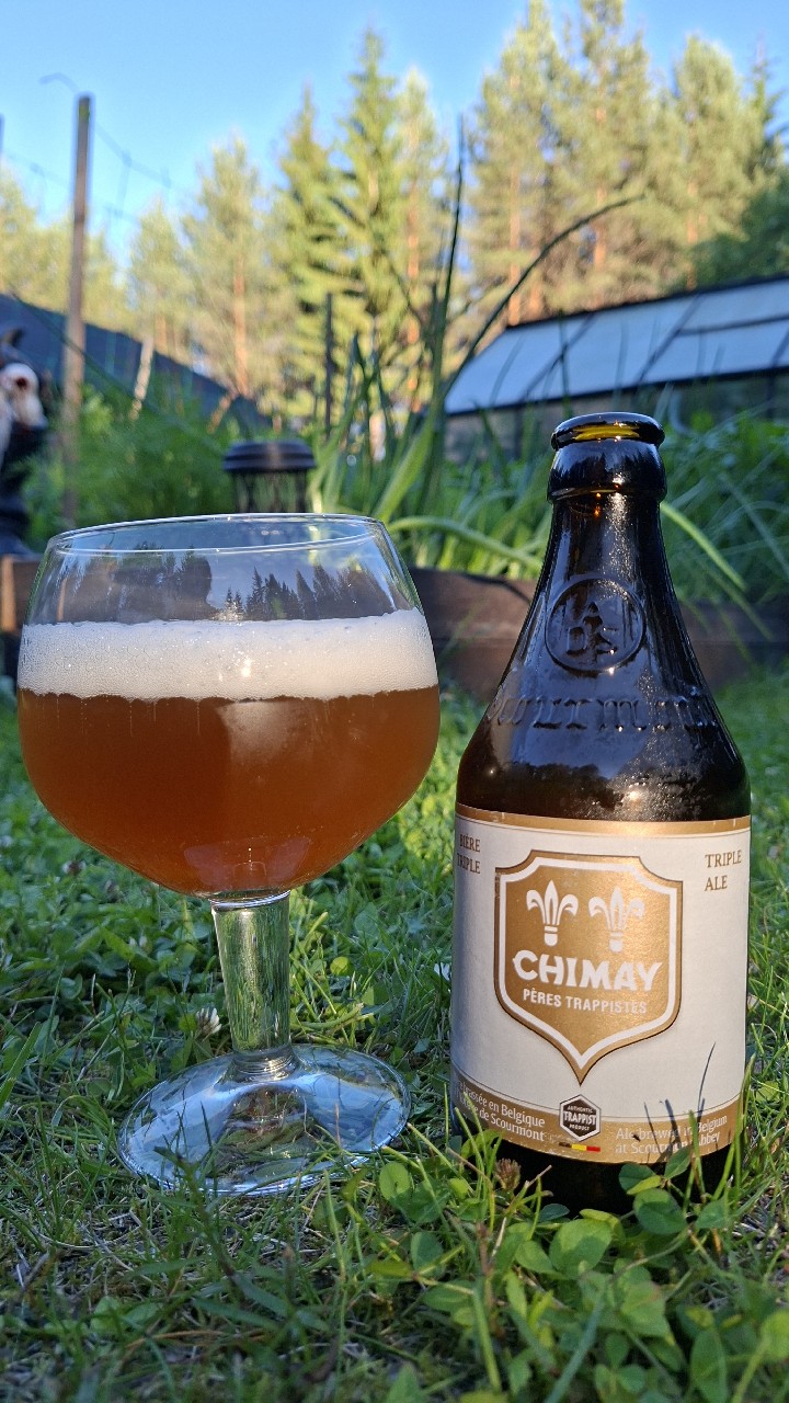 Chimay Triple | Tripel | Cinq Cents, Belgium