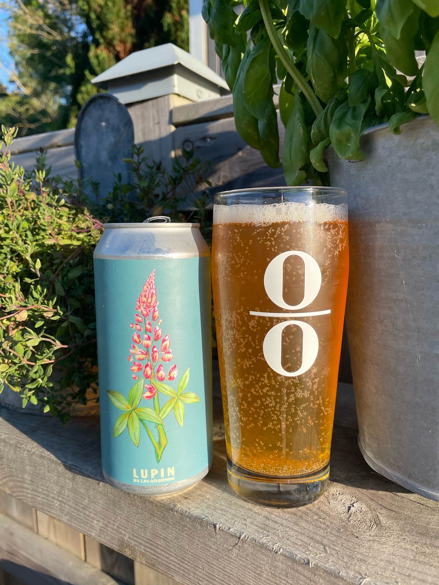 Lupin IPA, O/O Brewing