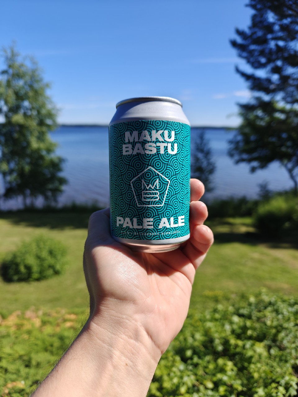 Bastu, Finland