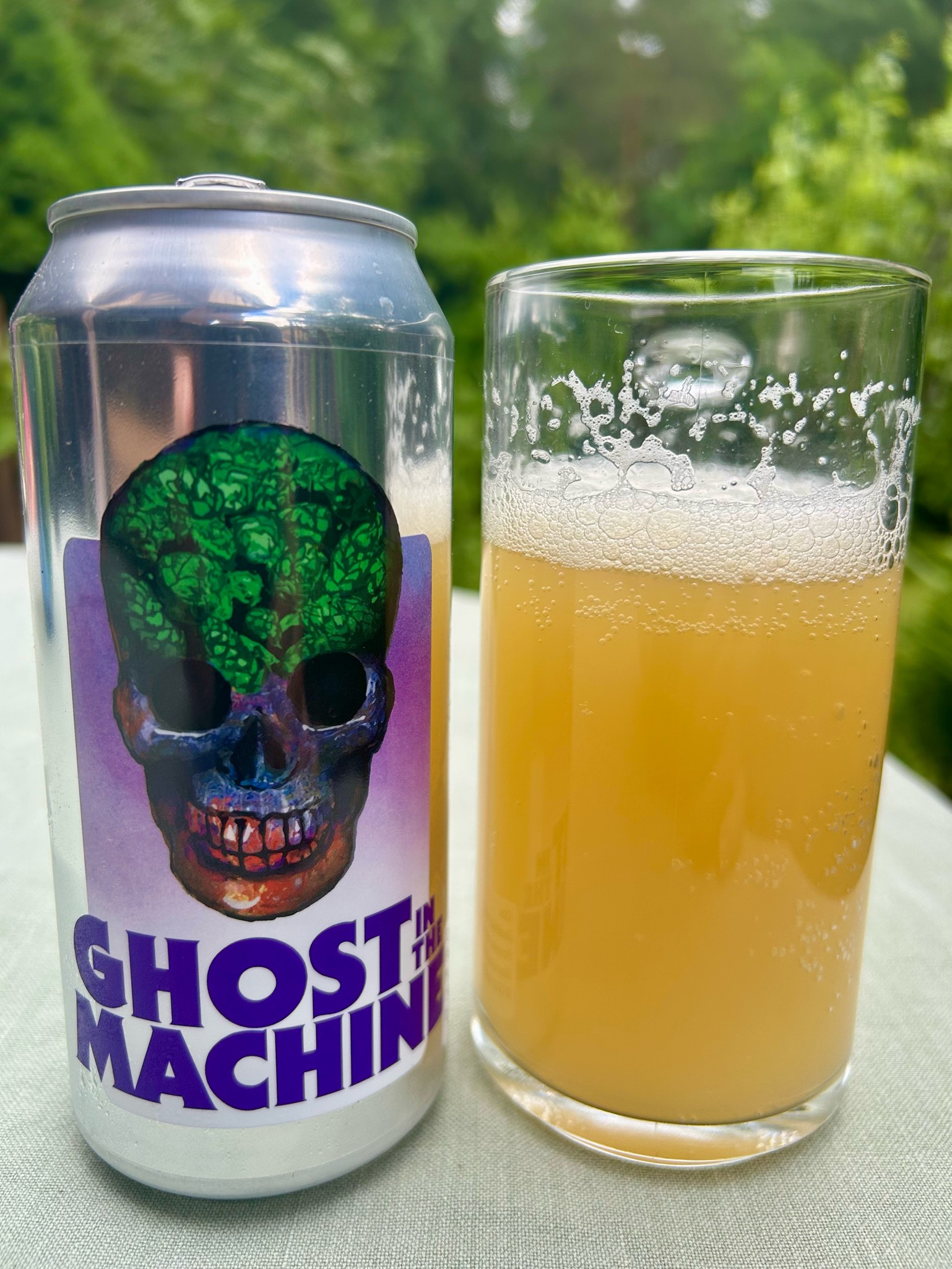 Ghost in the Machine (Freaky Friday), Sweden