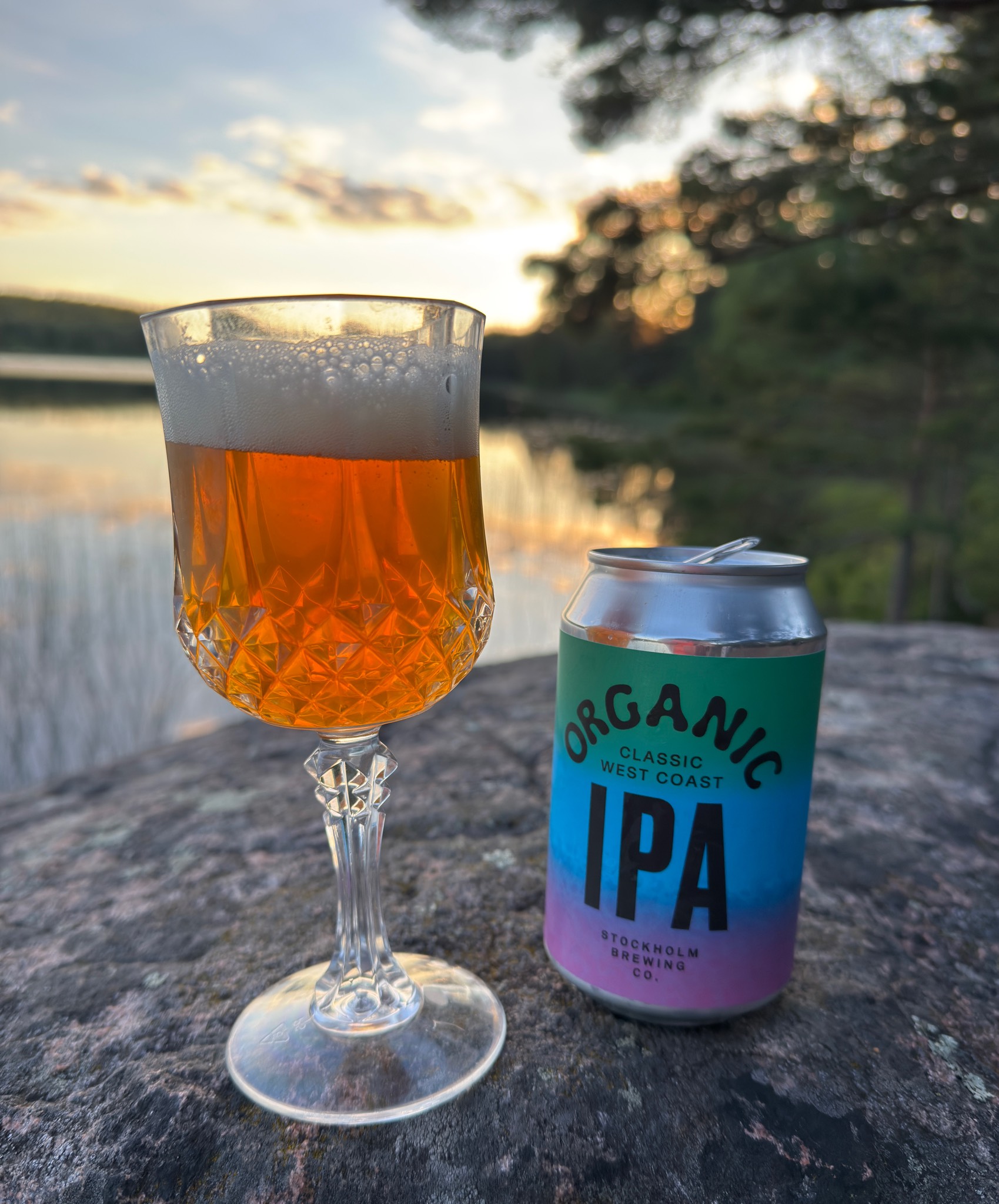 Organic IPA, Stockholm Brewing Co.