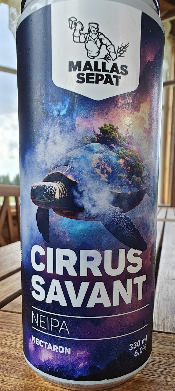 Cirrus Savant, Finland