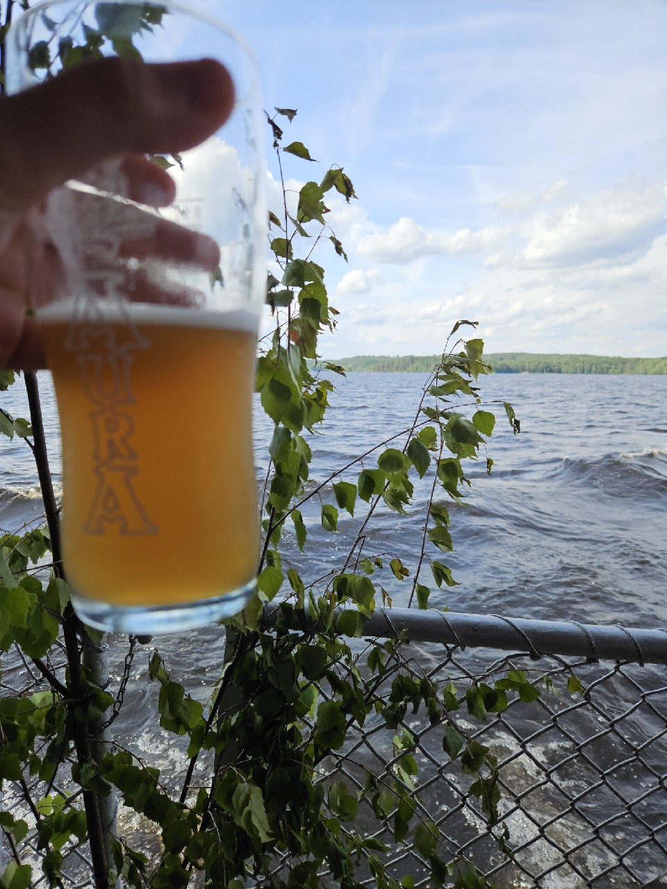 Laiva Neipa, Plevna / Koskipanimo