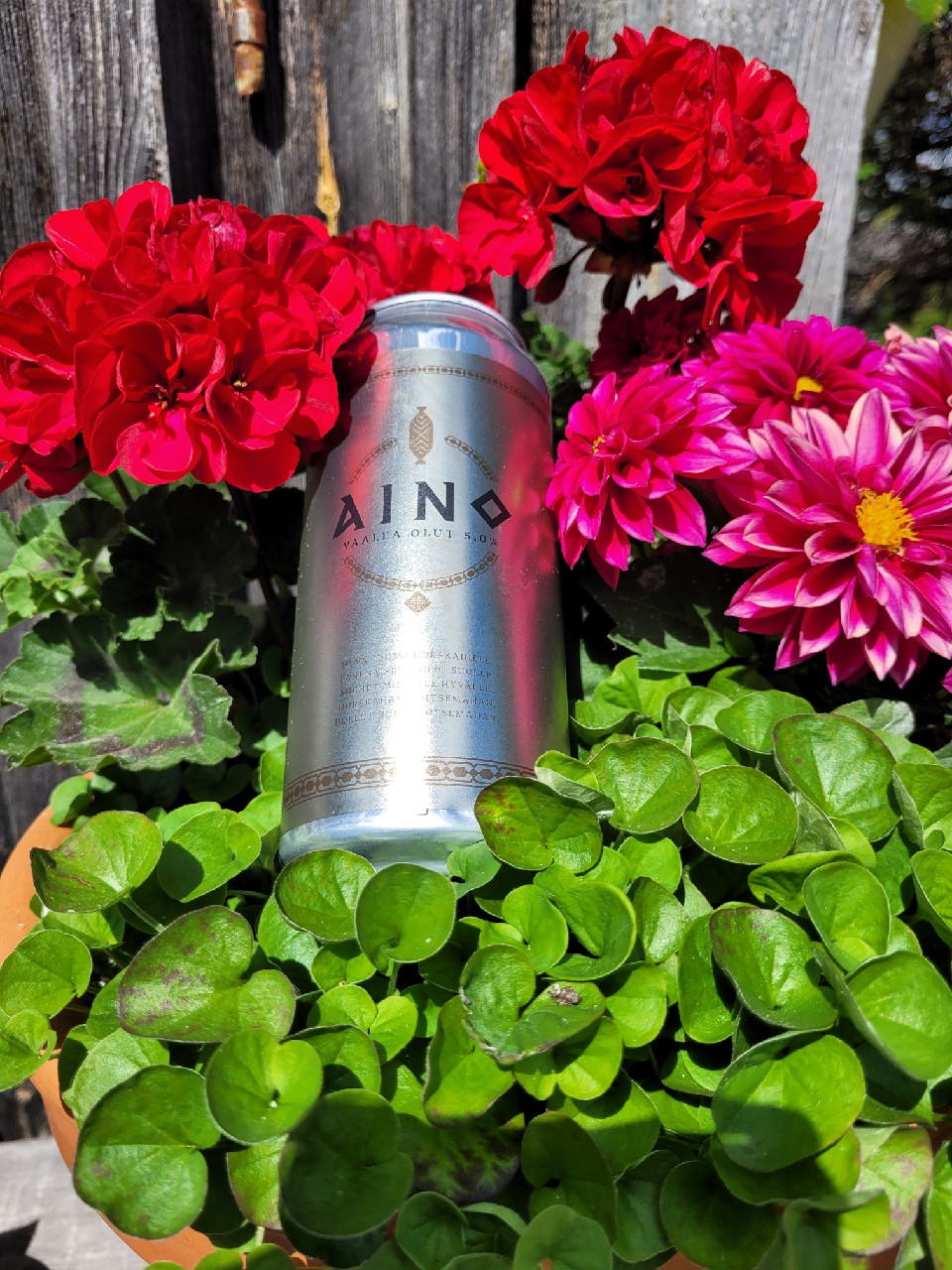 Aino, Finland