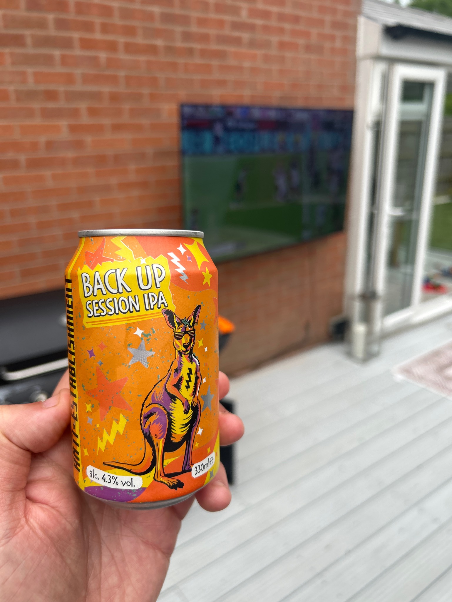 Back up session ipa, Anti Establishment