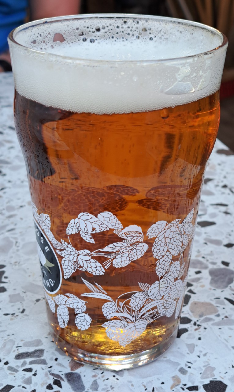 Goose Island IPA, Goose Island Beer Company (AB-InBev)