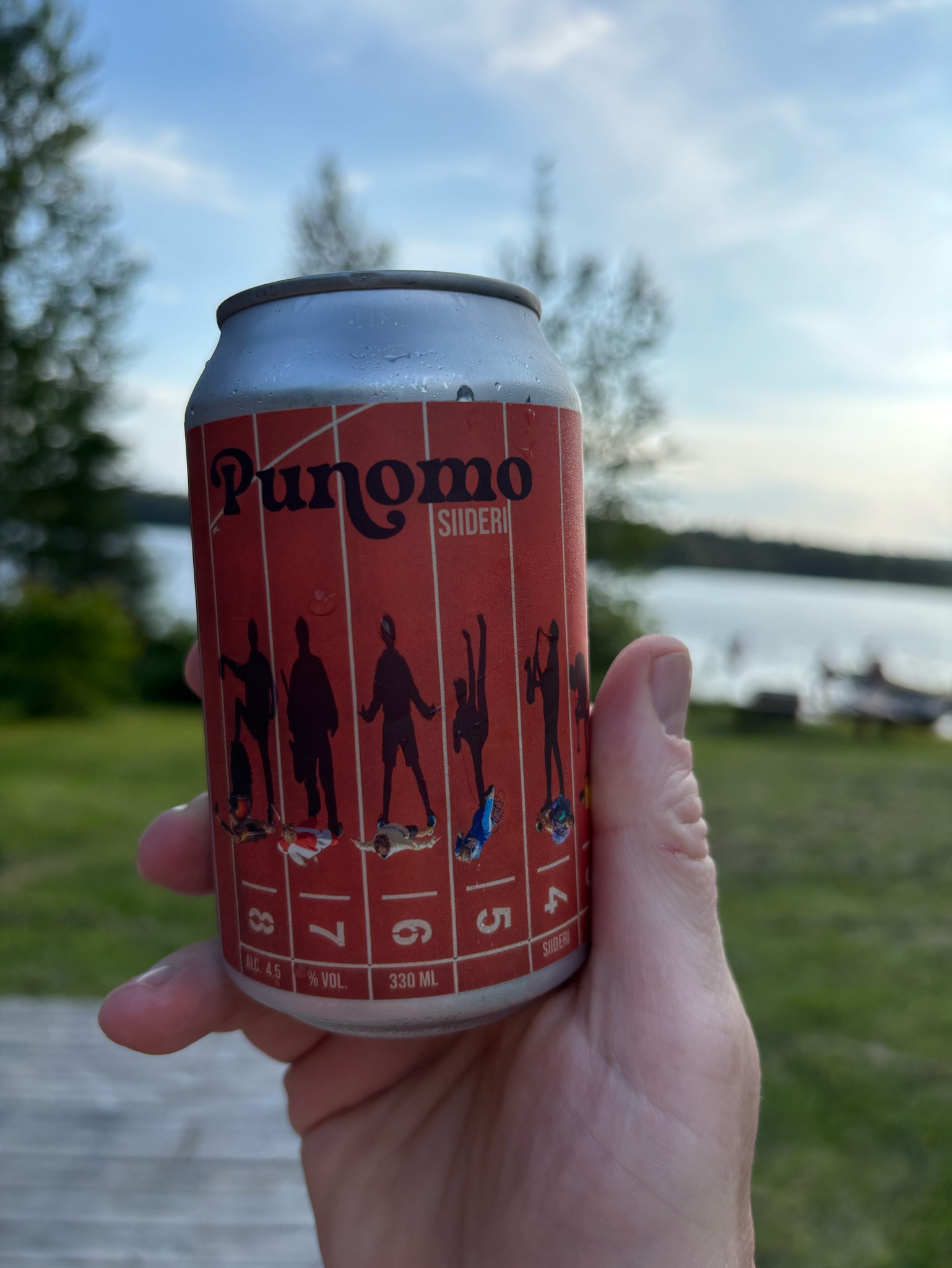 Punomo Siideri, Vaski Cider
