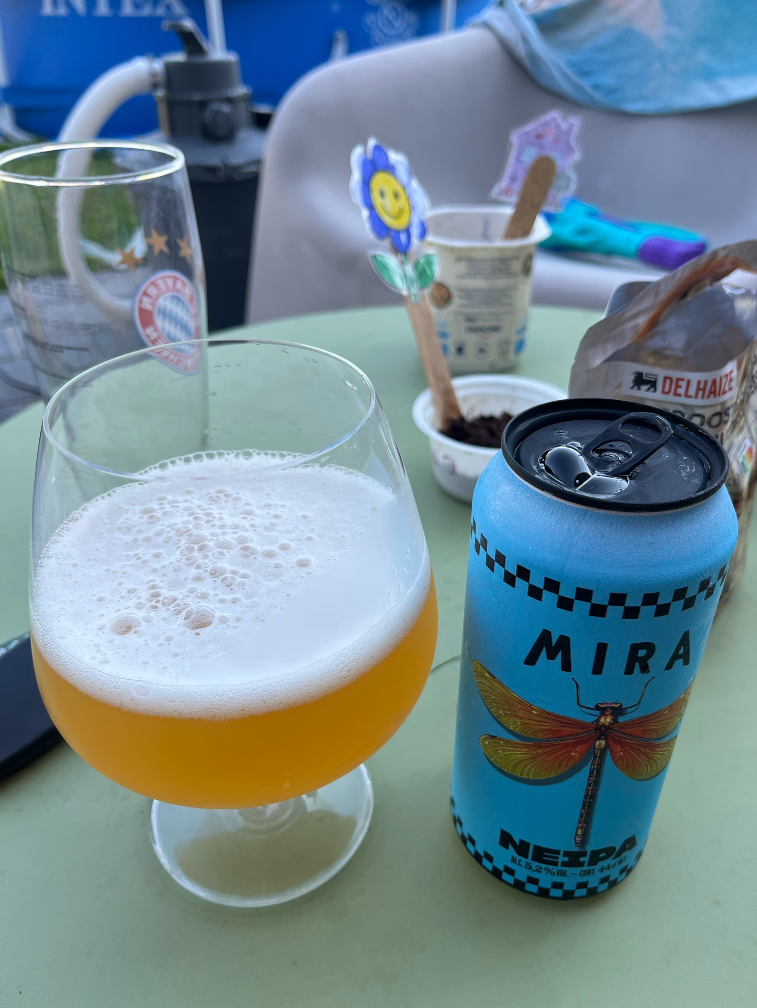 NEIPA, France