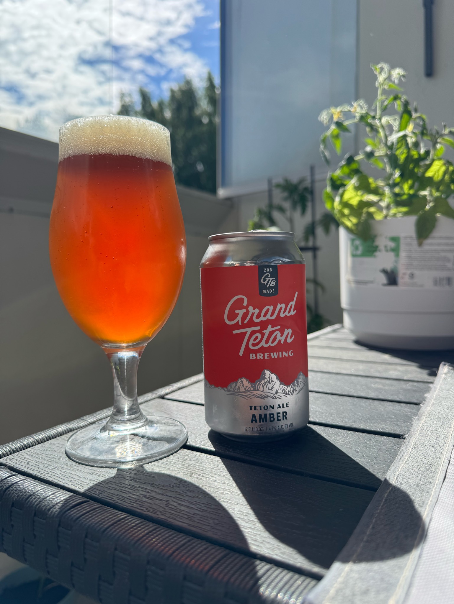 Teton Amber Ale, Grand Teton Brewing Co.