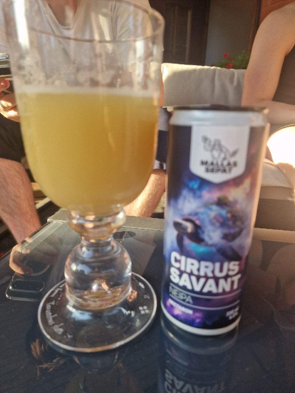 Cirrus Savant, Finland