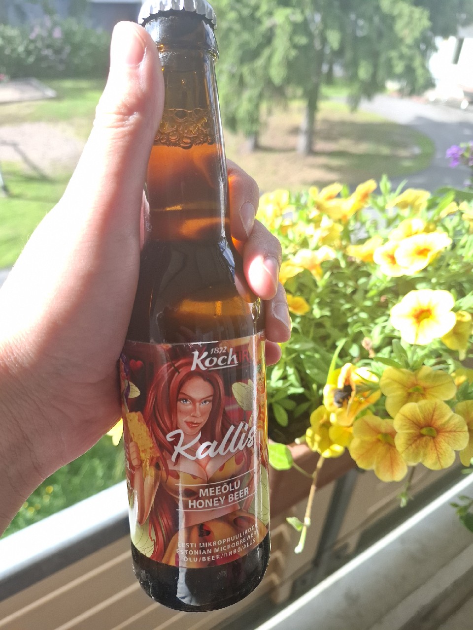 Kallis, Koch Brewery