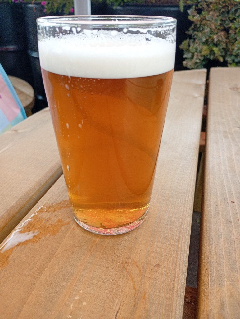 West Coast, Gower Brewery