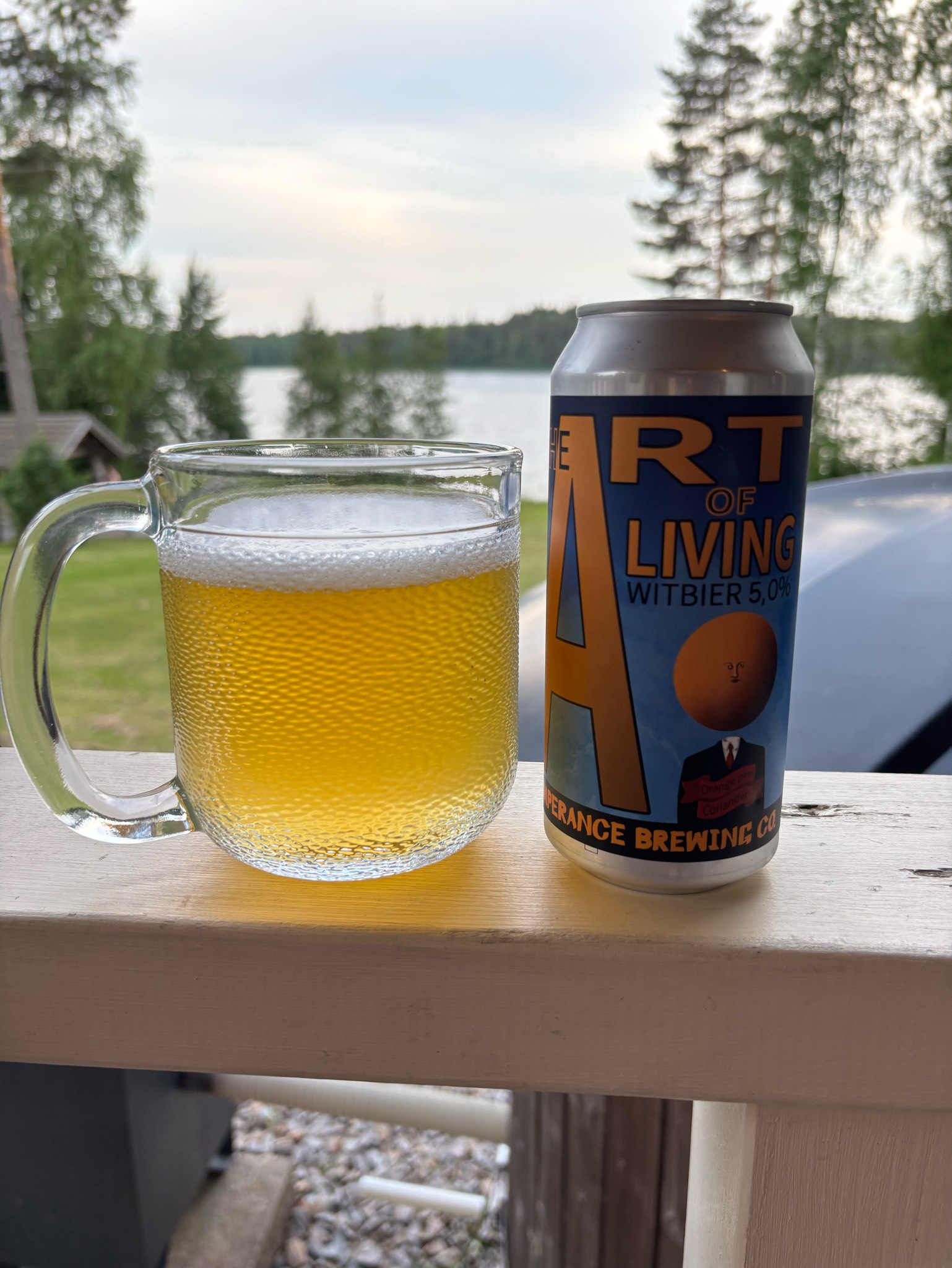 The Art of Living, Finland