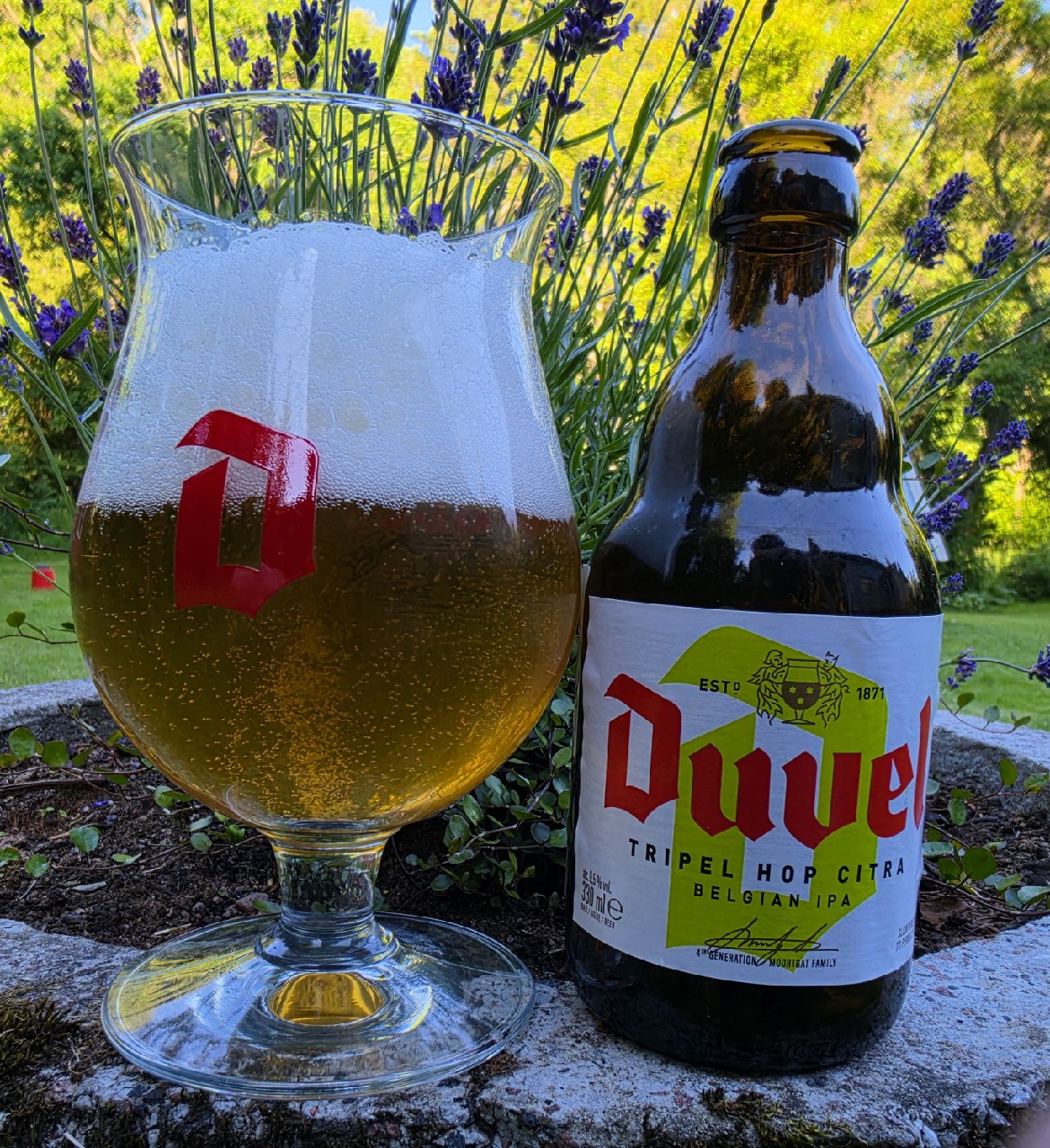 Duvel Tripel Hop Citra, Duvel Moortgat