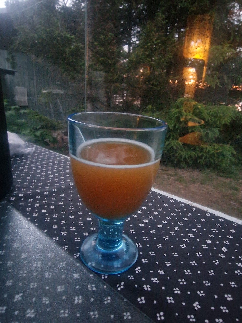 coastal sunshine fruited sour, Humble Forager Brewery