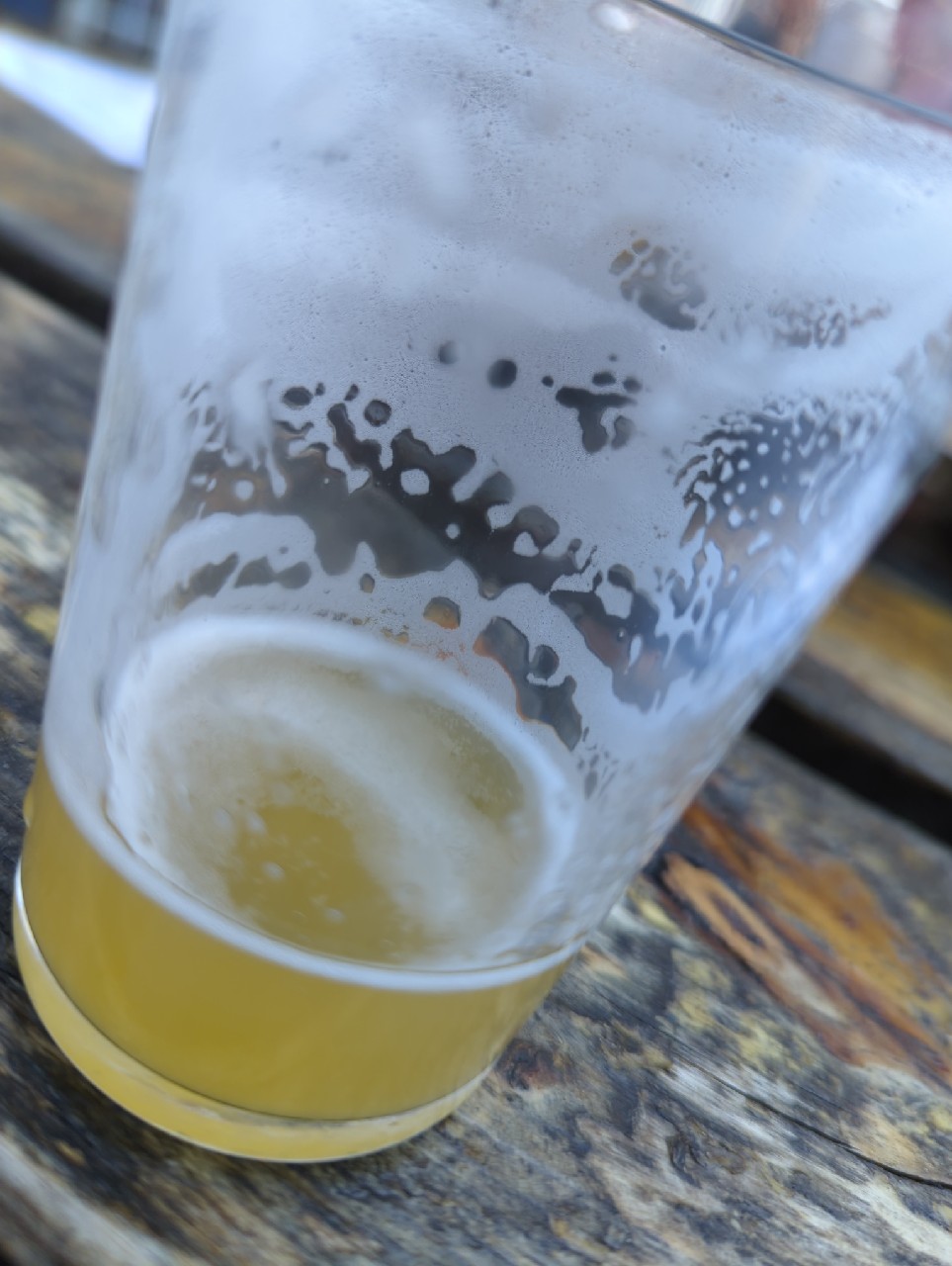 3 Bums Beach Lager, South Haven Brewpub