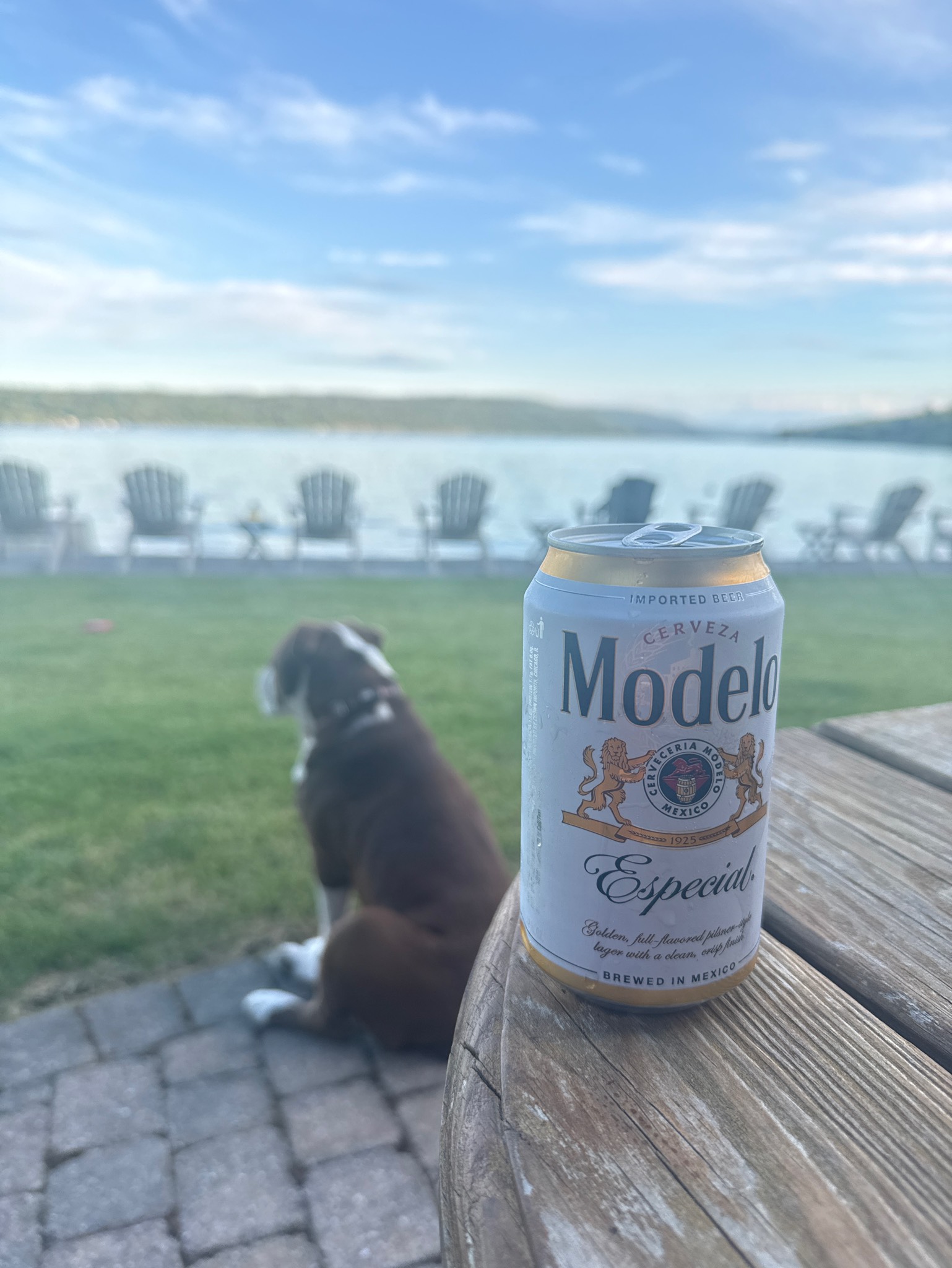 Modelo Especial, Grupo Modelo (ABInBev)