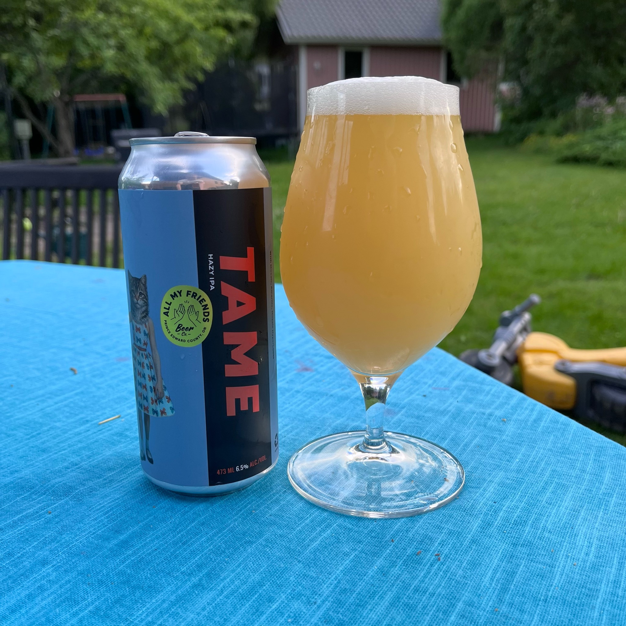 Tame, All My Friends Beer Co