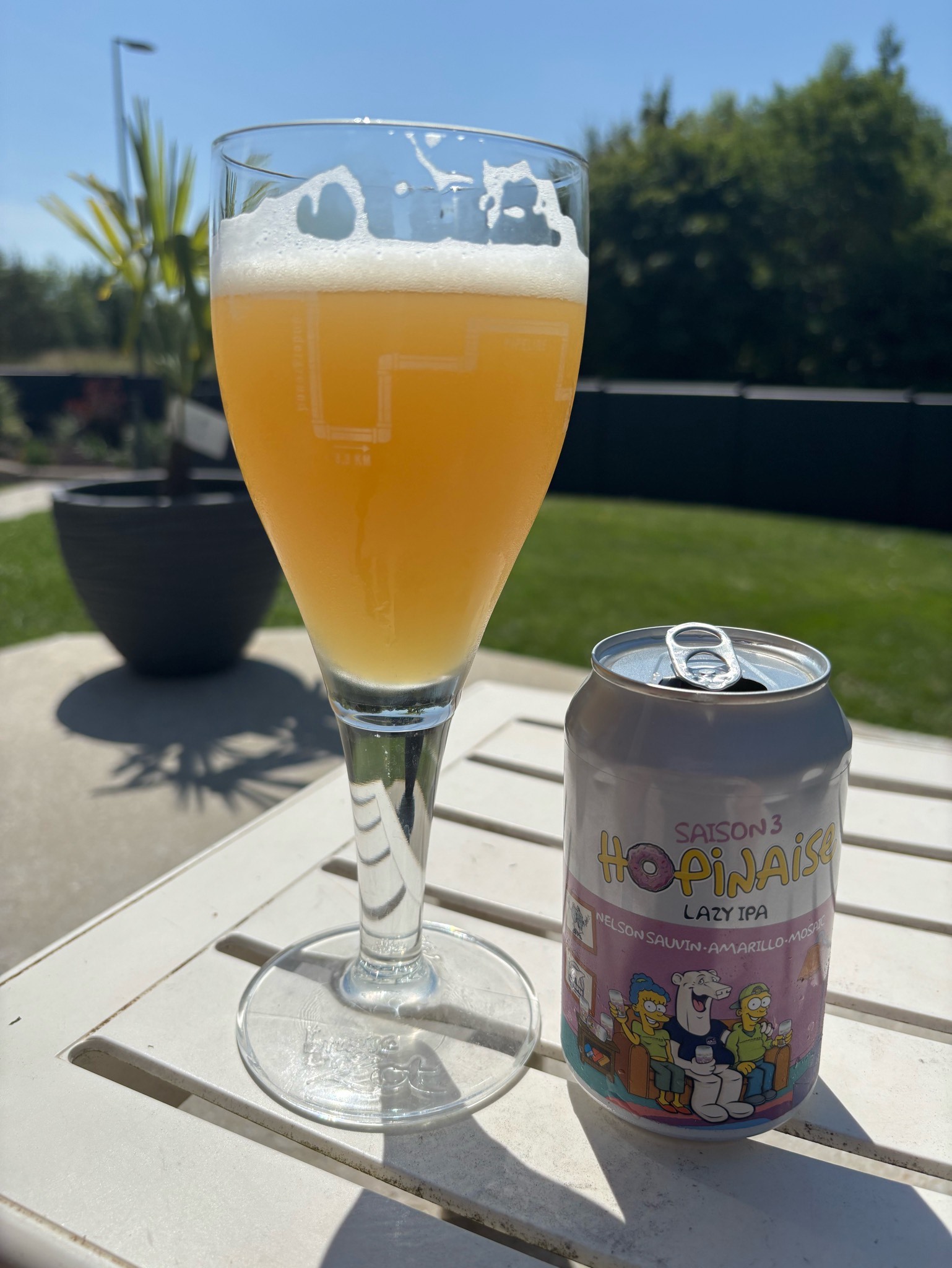 Hopinaise, 90 BPM Brewing Co.
