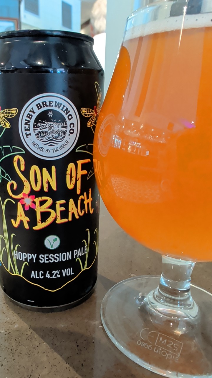 Son of A Beach, Tenby Brewing Co.