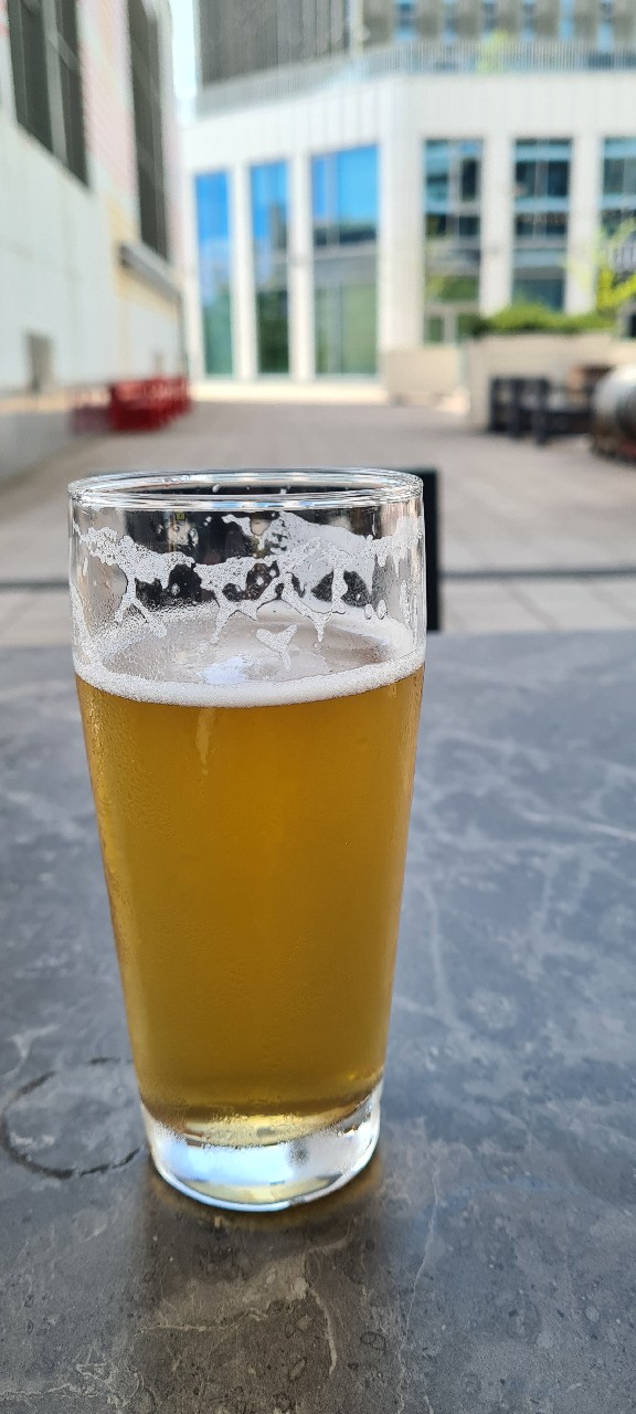 Sampokuja, Brew-Pub Gallows Bird