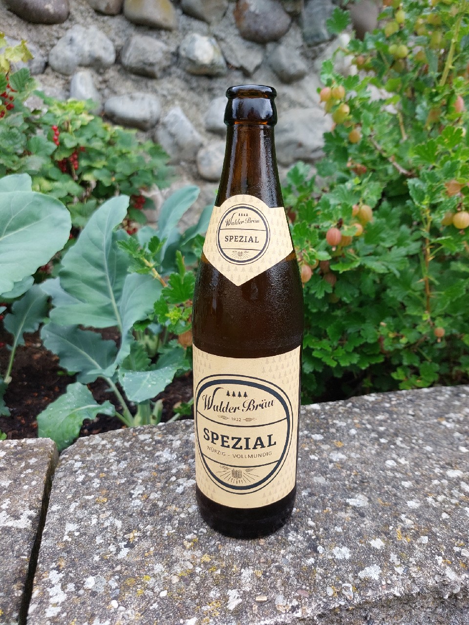 WalderBräu Spezial, Königsegger Walderbräu AG