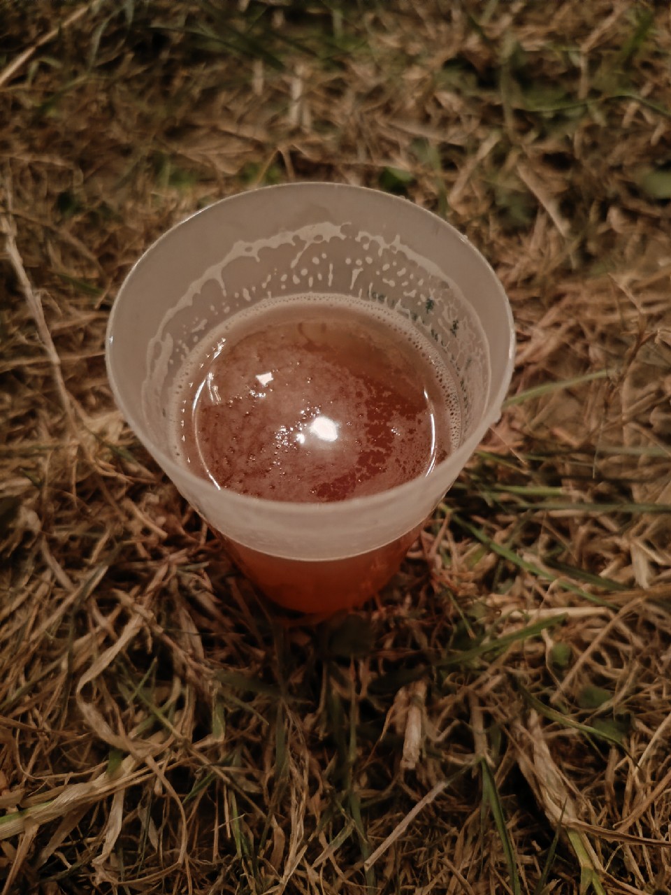 La Moussette Pale Ale, La Moussette